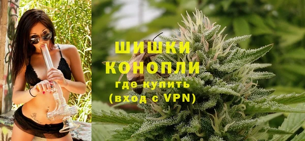 гидра Аркадак