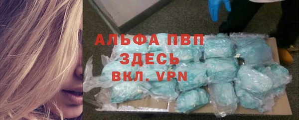 гидра Аркадак