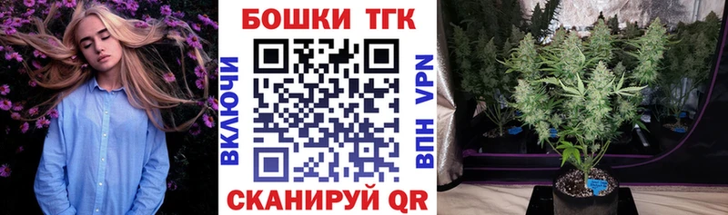 Каннабис SATIVA & INDICA Кирс